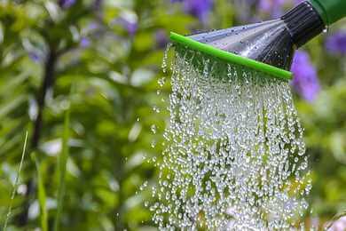 Zalievať záhradu môžete aj vodou z umývačky, práčky, či vane